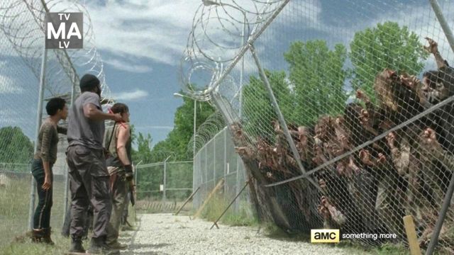 walkers at fence close