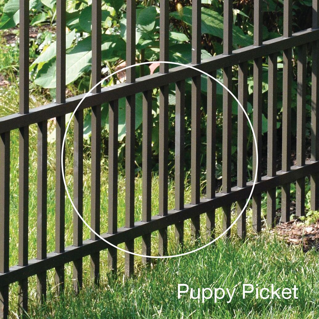 The Most PetFriendly Fencing Options Hurricane Fence
