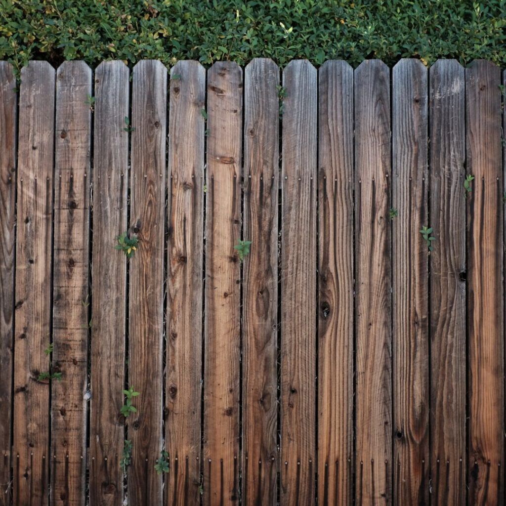 Wood Fence