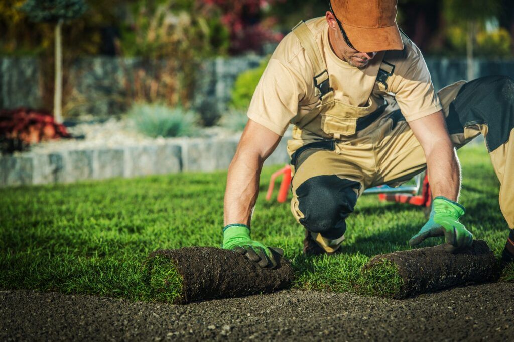 Landscaping – Keeping Chesapeake Green