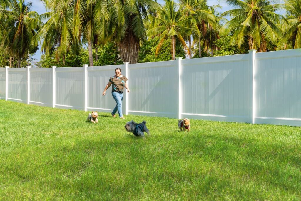 Best Fence Types for Homes with Pets