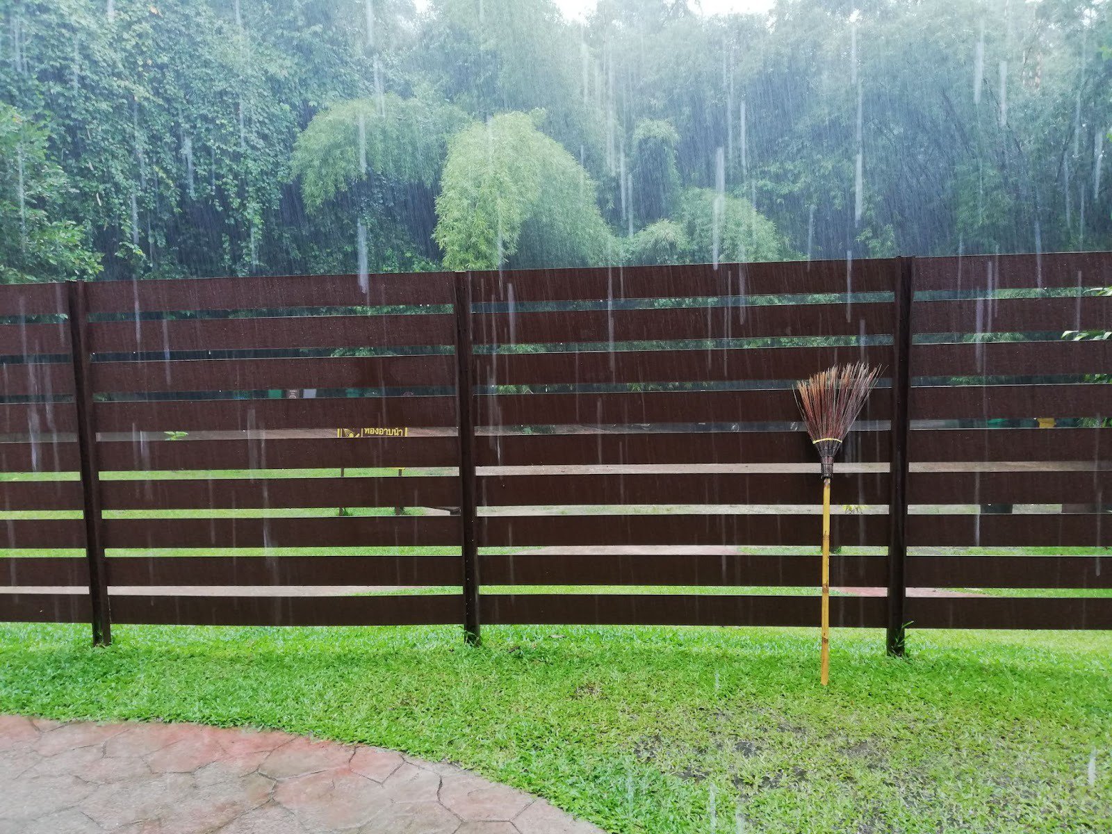 Choosing the Right Fence Material for Your Virginia Home: Wood, Vinyl, or Aluminum? cover