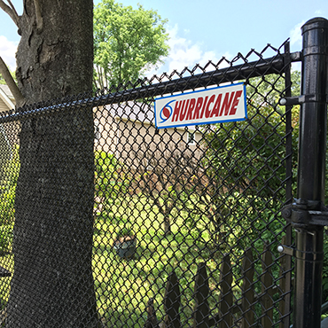 Chain Link Fence Thumbnail 06